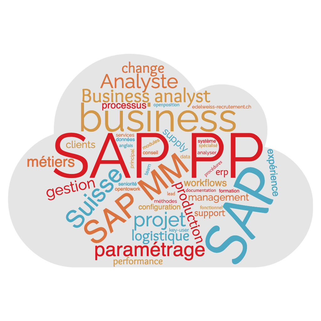 IT job en Suisse - Business analyst SAP PP MM
